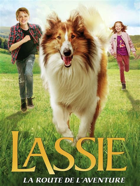 The Emotional Bond: The Magical Spell of Lassie